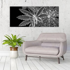 Tablou - Frunze cu picături (120x50 cm)