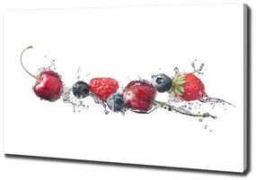 Tablou canvas Fructe de padure