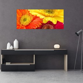 Tablou - Flori Gerbery (120x50 cm)