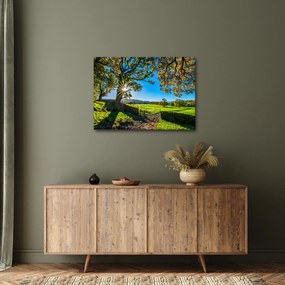 Tablou Privire la câmp (70x50 cm)
