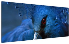 Tablou - Porumbel încoronat (120x50 cm)