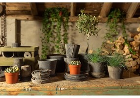 Farfurii de ghiveci 3 buc. din teracotă ø 10 cm – Esschert Design