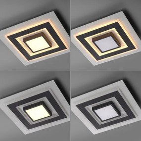 JUST LIGHT. 14439-21 - LED Plafonieră CICHIO LED/18,5W/230V + LED/9W neagră