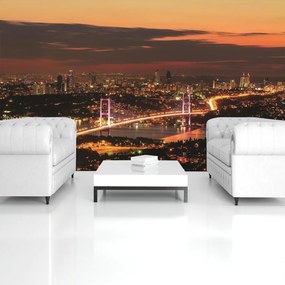 Fototapet - Privire spre River City (254x184 cm)