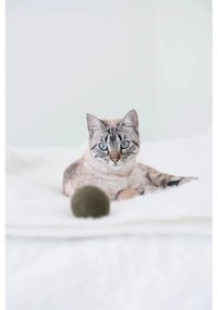 Set de jucării pentru pisici 3 buc. Globo Nougat – MiaCara