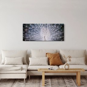 Tablou - Păun alb (120x50 cm)