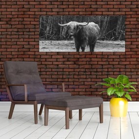 Tablou - Vacă scoțiană (120x50 cm)
