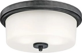 Westinghouse 6325140 - Plafonieră CEDRIC 2xE27/40W/230V Ø 33 cm