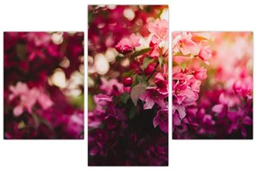 Tablou cu florile tufișului înflorit (90x60 cm)