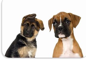 Suport de masa pentru copii 56x37 cm DOGS & CATS Varianta: Pawli