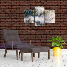 Tablou - Copac în ceață (90x60 cm)