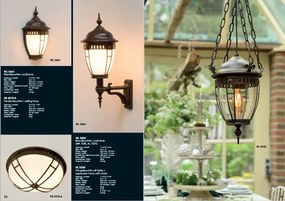 Aplica iluminat exterior din fier forjat, WL 3464
