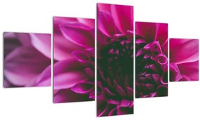 Tablou cu floarea roz (125x70 cm), în 40 de alte dimensiuni noi