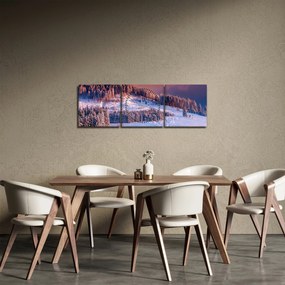 Tablou - Peisaj de iarnă (cu ceas) (90x30 cm)
