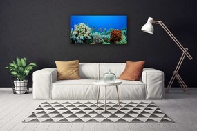 Tablou pe panza canvas Coral Reef Natura Multi