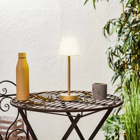 Lampă de masă din alamă cu LED reîncărcabil cu dimmer tactil - Renata