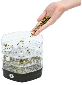 Vas de germinare Flower Lover Mungo 17 x 15,5 cm, ,