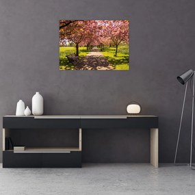 Tablou pe sticlă - livada cu cireși (70x50 cm)