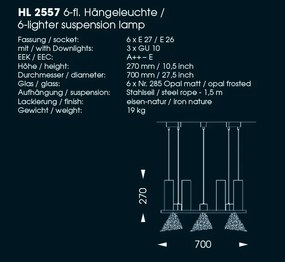 Candelabru din fier forjat cu 6 surse de lumina, HL 2557