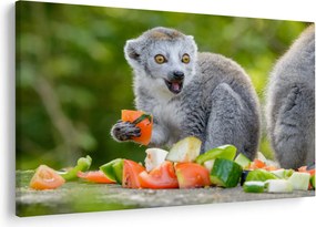 Tablou cu lemur (90x60 cm)