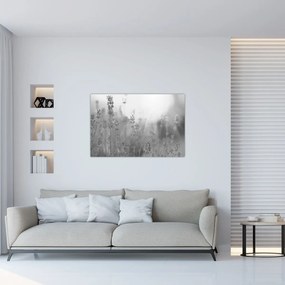 Tablou - Lavanda (90x60 cm)