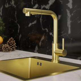 Baterie bucatarie cu dus extractibil Quadron Nicki finisaj Nano PVD auriu satinat