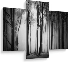 Tablou - Lup în pădurea întunecată (90x60 cm)