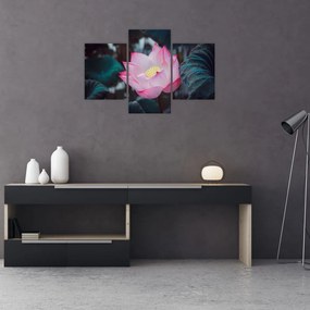 Tablou cu floare roz (90x60 cm)