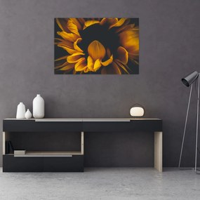 Tablou - Floarea-soarelui în fundal negru (90x60 cm)