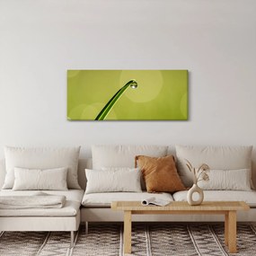 Tablou cu picătură de apă pe iarbă (120x50 cm)