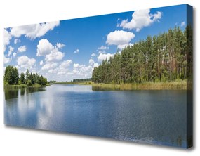 Tablou pe panza canvas Forest Lake Peisaj Verde Albastru