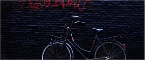 Tablou cu carusel din Amsterdam (120x50 cm)