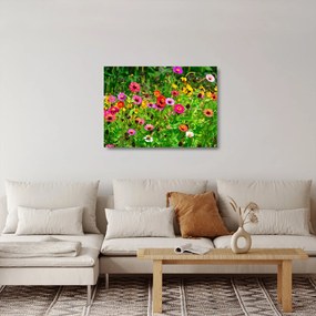 Tablou pe sticlă cu flori de luncă (70x50 cm)