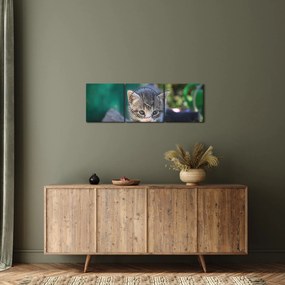 Tablou cu pisicuțe (cu ceas) (90x30 cm)