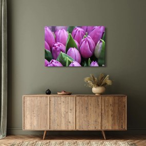 Tablou - florile lalelelor (90x60 cm)