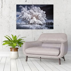 Tablou - Albă ca Zăpada Copac (90x60 cm)