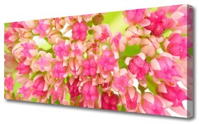 Tablou pe panza canvas Floare roz Floral