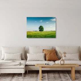 Tablou pe sticlă cu copaci pe luncă (70x50 cm)
