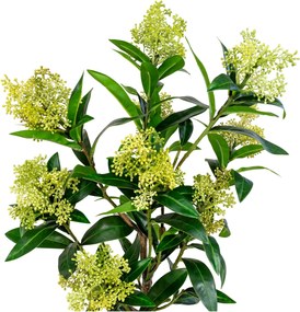 Copac Stalina (verde). Promo -9%. 1147558