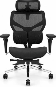 Scaun ergonomic ANEW ARYSE D6, Suport lombar dublu adaptiv 360°, Cotiere 5D, Tetieră 3D, Șezut mesh, Mecanism sensibil la greutate, Bază cromată, Suport pentru picioare, Negru