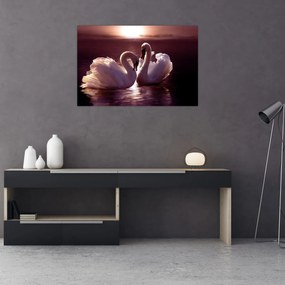 Tablou - Lebede pe lac (90x60 cm)
