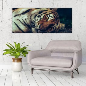 Tablou - Tigrul Siberian (120x50 cm), în 40 de alte dimensiuni noi