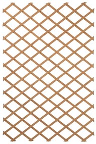 Nature Spalier de gradina, natural, 50 x 150 cm, lemn
