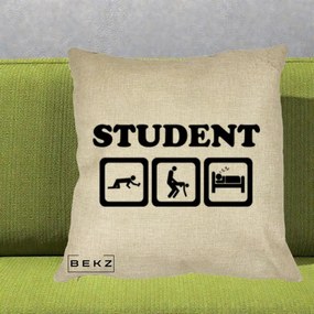 Perna Decorativa Student Life, 40x40 cm, Crem, Husa Detasabila, Perna Inclusa, BEKZ®
