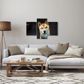 Tablou cu câine (90x60 cm)