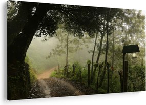 Tablou cu ceața de dimineața (90x60 cm)