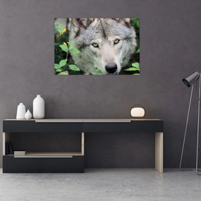 Tablou - Portret de lup (90x60 cm)