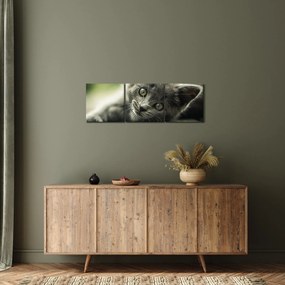 Tablou cu pisicuța (cu ceas) (90x30 cm)