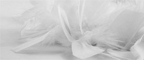 Tablou - Pene (120x50 cm)