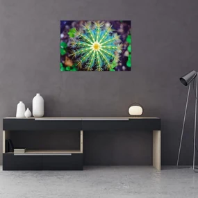 Tablou cu cactus (70x50 cm), în 40 de alte dimensiuni noi